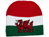 WALES TOQUE HAT CAP .. FIFA SOCCER WORLD CUP .. NEW