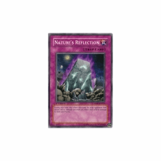 2012 Yu-Gi-Oh Absolute Powerforce Nature's Reflection - ABPF-EN065 - Common