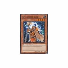 2012 Yu-Gi-Oh Duelist Revolution Amazoness Sage - DREV-EN030 - Common
