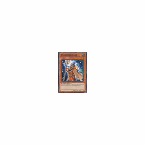2012 Yu-Gi-Oh Duelist Revolution Amazoness Sage - DREV-EN030 - Common