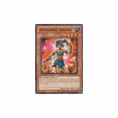 2012 Yu-Gi-Oh Duelist Revolution Amazoness Trainee - DREV-EN031 - Common