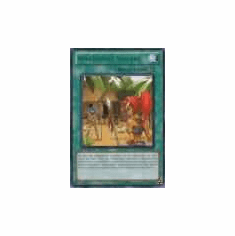 2012 Yu-Gi-Oh Duelist Revolution Amazoness Village - DREV-EN053 - Rare