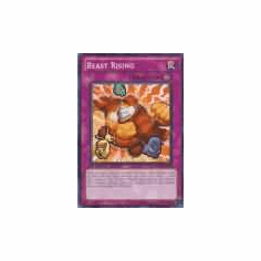 2012 Yu-Gi-Oh Duelist Revolution Beast Rising - DREV-EN074 - Common