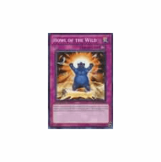 2012 Yu-Gi-Oh Duelist Revolution Howl of the Wild - DREV-EN065 - Common