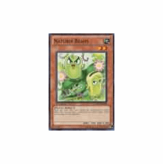 2012 Yu-Gi-Oh Duelist Revolution Naturia Beans - DREV-EN028 - Common