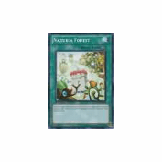 2012 Yu-Gi-Oh Duelist Revolution Naturia Forest - DREV-EN051 - Common