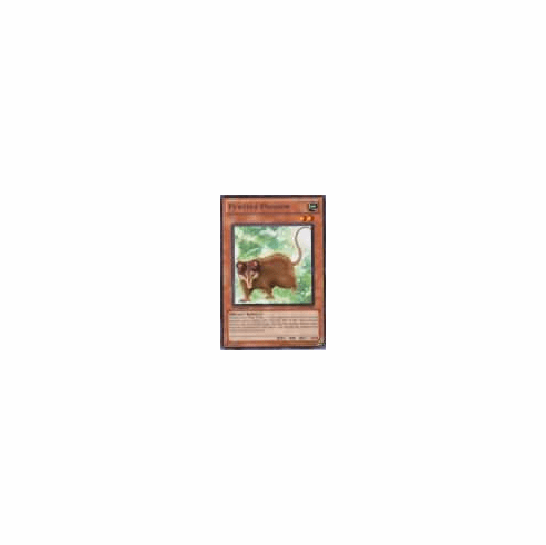2012 Yu-Gi-Oh Duelist Revolution Playful Possum - DREV-EN007 - Rare