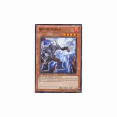 2012 Yu-Gi-Oh Duelist Revolution Rhinotaurus - DREV-EN017 - Common