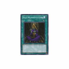 2012 Yu-Gi-Oh Extreme Victory Self-Mummification - EXVC-EN062 - Common