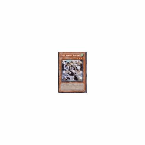 2012 Yu-Gi-Oh Hidden Arsenal 1 Mist Valley Shaman - HA01-EN005 - Secret Rare