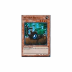 2012 Yu-Gi-Oh Hidden Arsenal 2 Naturia Beetle - HA02-EN001 - Super Rare