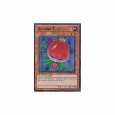 2012 Yu-Gi-Oh Hidden Arsenal 3 Naturia Tulip - HA03-EN013 - Super Rare