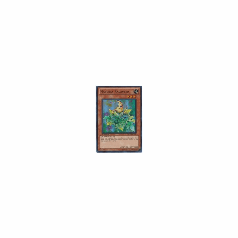 2012 Yu-Gi-Oh Hidden arsenal 4 Naturia Ragweed - HA04-EN050 - Super Rare