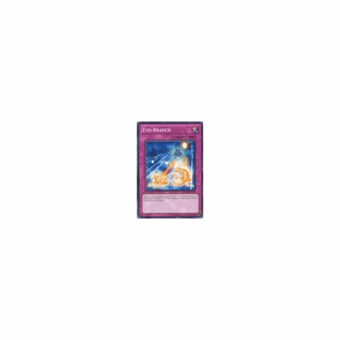 2012 Yu-Gi-Oh Order of Chaos Evo-Branch - ORCS-EN074 - Common