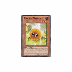2012 Yu-Gi-Oh Photon Shockwave Naturia Marron - PHSW-EN029 - Common 1st Edition