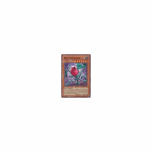 2012 Yu-Gi-Oh Raging Battle Rose Tentacles - RGBT-EN007 - Common