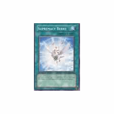 2012 Yu-Gi-Oh Raging Battle Supremacy Berry - RGBT-EN060 - Common