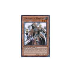 2012 Yu-Gi-Oh Return of the Duelist #REDU017 Temperance of Prophecy (SR)