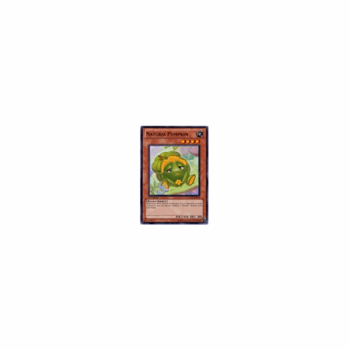 2012 Yu-Gi-Oh Starstrike Blast Naturia Pumpkin - STBL-EN031 - Common 1st Edition