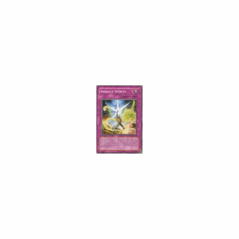 2012 Yu-Gi-Oh The Shining Darkness Assault Spirits - TSHD-EN073 - Common