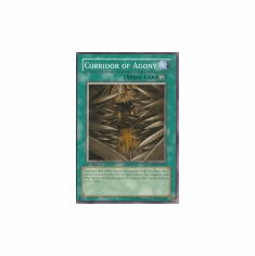 2012 Yu-Gi-Oh The Shining Darkness Corridor of Agony - TSHD-EN062 - Common