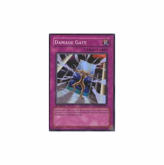 2012 Yu-Gi-Oh The Shining Darkness Damage Gate - TSHD-EN070 - Super Rare