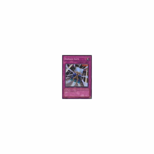 2012 Yu-Gi-Oh The Shining Darkness Damage Gate - TSHD-EN070 - Super Rare