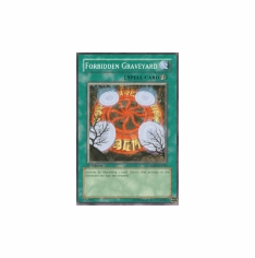2012 Yu-Gi-Oh The Shining Darkness Forbidden Graveyard - TSHD-EN060 - Common
