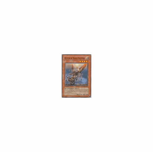 2012 Yu-Gi-Oh The Shining Darkness Hunter of Black Feathers - TSHD-EN038 - Common
