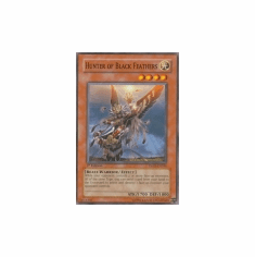 2012 Yu-Gi-Oh The Shining Darkness Hunter of Black Feathers - TSHD-EN038 - Common
