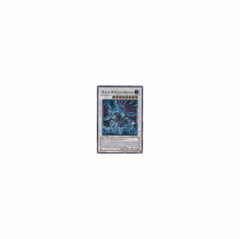 2012 Yu-Gi-Oh The Shining Darkness Ultimate Rare - Black-Winged Dragon - TSHD-EN040