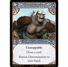 EPIC Tcg Single Determination Card