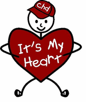 It's My Heart Charity Event for Congenital Heart Defects Jan 16th-18th 2009 Event Schedule