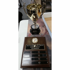 Monthly Awards and the Zodiac Plaque