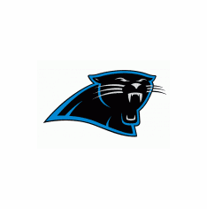 Panthers