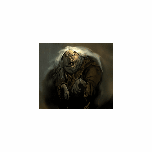 Pirates of the Crimson Coast The Hag of Tortuga Pirates Crew