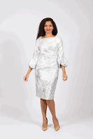 Diana Collection <br> (Spring/Summer 2026) <br> D8861 <br><br>Gold  <br>   Silver <br> 8 10 12 14 16 18 20 22 24<br><br>Brocade<br>1 pc Dress