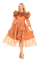 Giovanna <br> (2026) <br> GVD1685 <br> <br> Orange-Multi <br> 8 10 12 14 16 18 20 22 <br><br>Orange Ruffle Collar High-Low Organza Dress