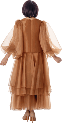 Stellar Looks <br> (Fall 2026) <br> SL601272 <br> <br> Coffee <br> 8 10 12 14 16 18 20 22 24<br><br>Organza <br> 2 Piece Skirt Suit