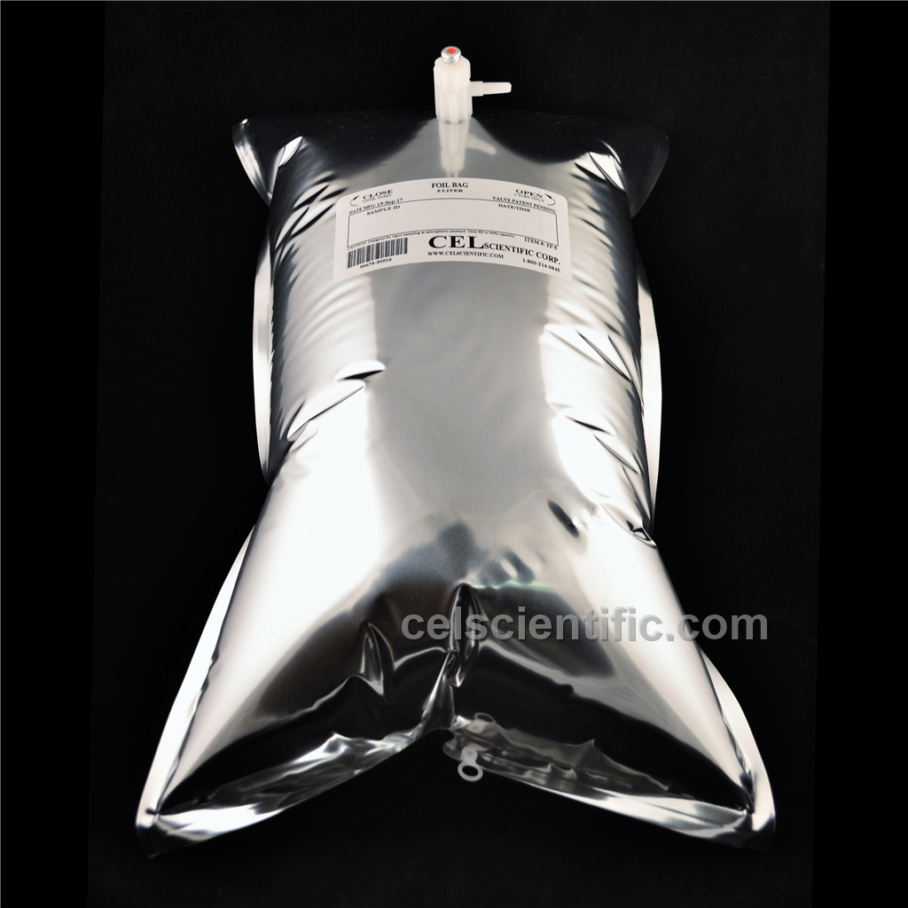 Update 138+ foil gas sampling bags super hot esthdonghoadian