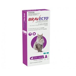 Bravecto Lge Cat 6.25-12.5kg (13.75-27.5lb) Spot On   2 x 1.79mL Pipette ( 6 Months Protection ) 