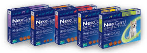 New NexGard Spectra   Chewable Tablets