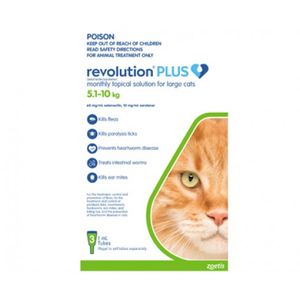 Revolution Plus Large Cat 5.1-10kg (11-22lb) Green 6 pack