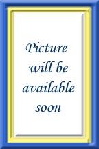 NEW Sarah Louise Blue and White Striped Romper with Bear and Ball Embroidery