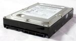Dell C9313 Hard Drive