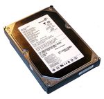 Dell P5331 Hard Drive