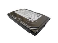 Dell ST3250312AS Hard Drive