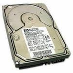 HP 303594-001 Hard Drive