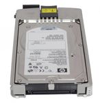 HP BD0728A4C4 Hard Drive
