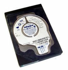 Maxtor 2F040J0310211 Hard Drive